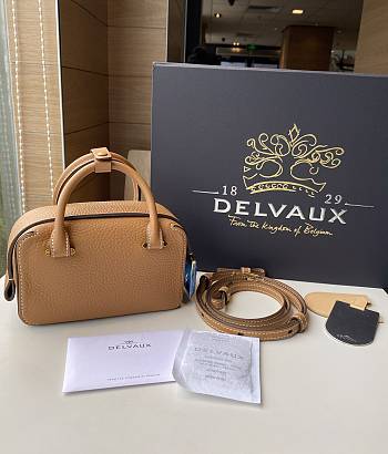 Delvaux Cool Box Nano in Taurillon Soft Brown Size 16.5x7.5x10.5 cm