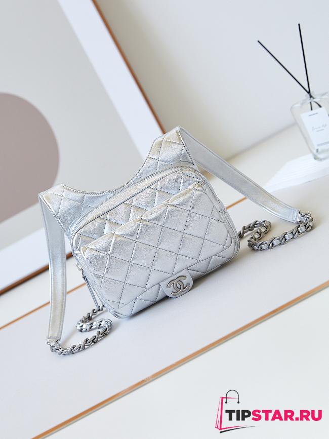 Chanel Backpack Metallic Lambskin & Silver Metal Silver AS4621 Size 19 × 20 × 5.5 cm - 1