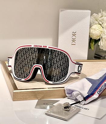DiorAlps M1I White Ski Goggles