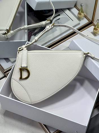 Dior Saddle Shoulder Pouch Latte Goatskin Size 20 x 15 x 4 cm