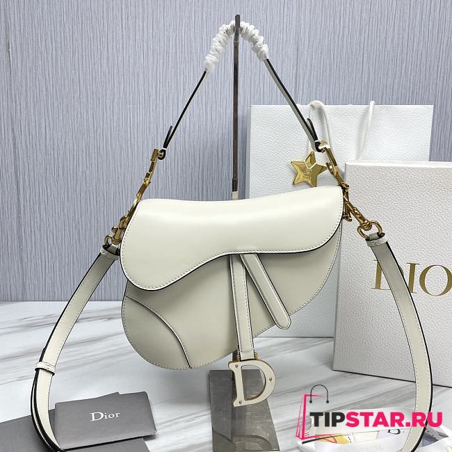 Dior Saddle Bag with Strap Dusty Ivory Smooth Calfskin Size 25.5 x 20 x 6.5 cm - 1