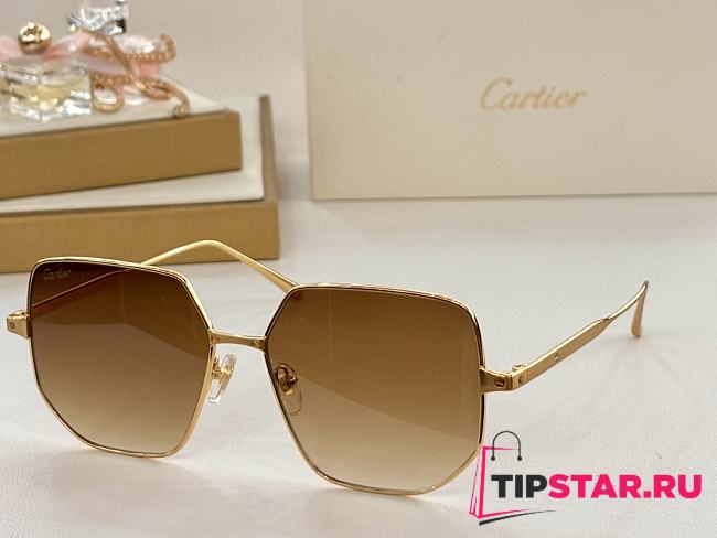 Santos De Cartier Sunglasses 01 - 1
