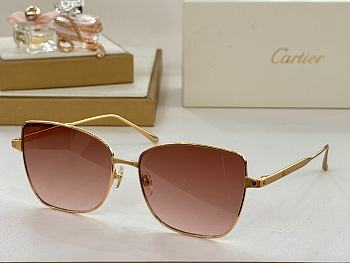 Santos De Cartier Sunglasses 02