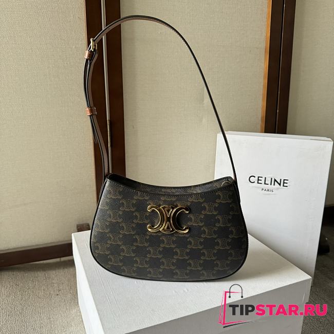 Celine Medium Tilly Bag In Triomphe Canvas And Calfskin Size 22 X 13.5 X 4 CM - 1