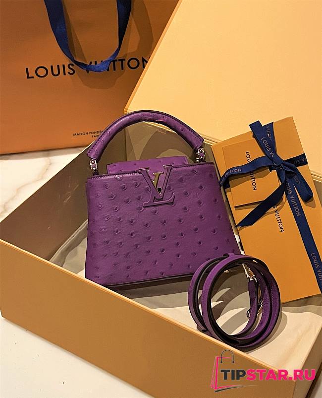 Louis Vuitton N94230 Capucines Ostrich Mini Purple Size 21 x 14 x 8 cm - 1