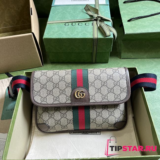 Gucci Ophidia GG Small Belt Bag 752597 Beige & Ebony Size 24x17x3.5cm - 1