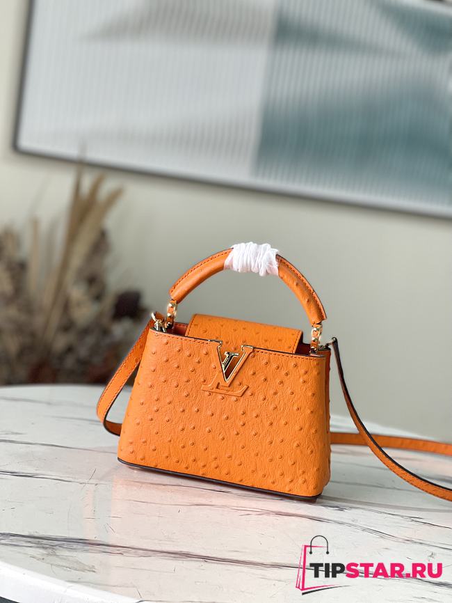 Louis Vuitton Mini Ostrich Orange Size 21*14*8 cm - 1