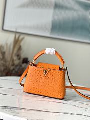 Louis Vuitton Mini Ostrich Orange Size 21*14*8 cm - 1