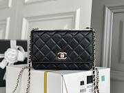 CHANEL New Goatskin Woc Chain Bag - 1