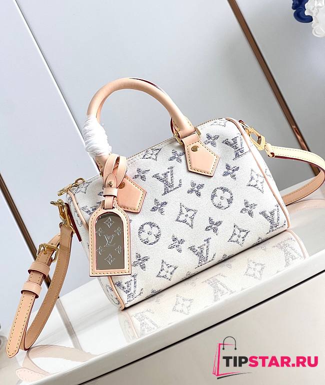 LV Speedy Bandoulière 20 Multicolor Beige M24709 Nautical 20.5x13.5x12cm  - 1