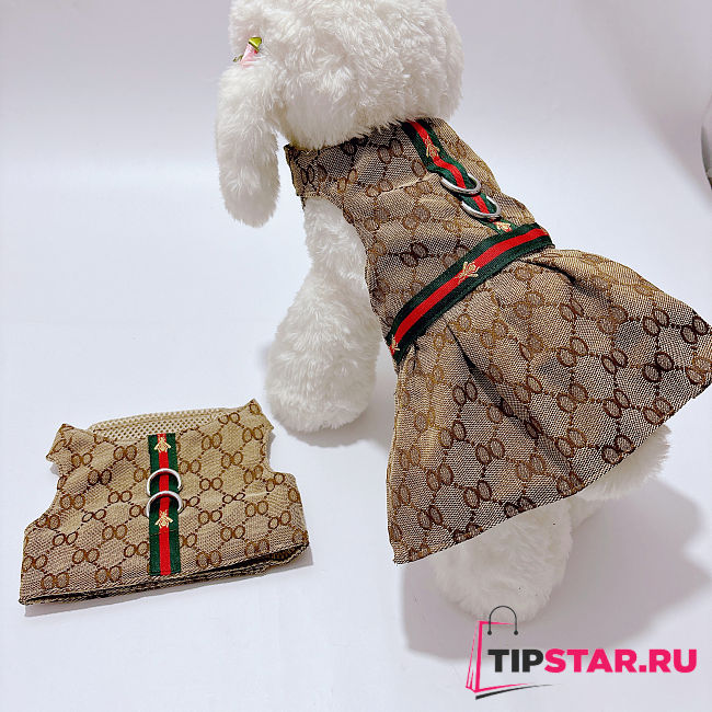 Gucci Dress 20816 - 1