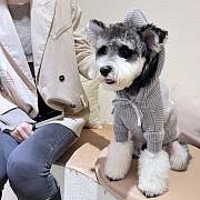 Celine Hoodie Gray 20825 - 4