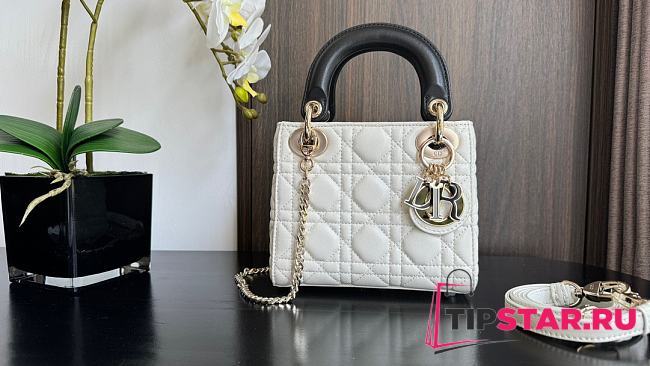 Mini Lady Dior Bag Two-Tone Sky White and Black Cannage Lambski 17x15x7cm - 1