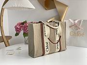 Chloe Large Woody Canvas And Leather Tote Bag 45x33x13cm - 2