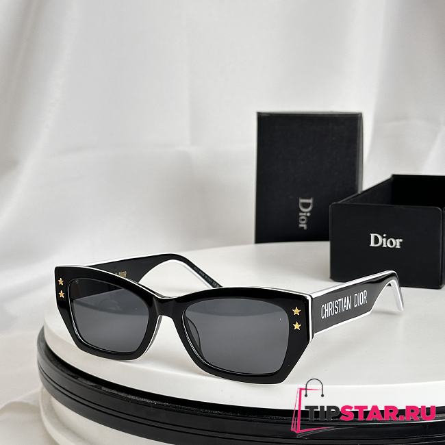 DiorPacific S2U Black Rectangular Sunglasses - 1