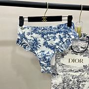 Dior Bikini 15 - 2