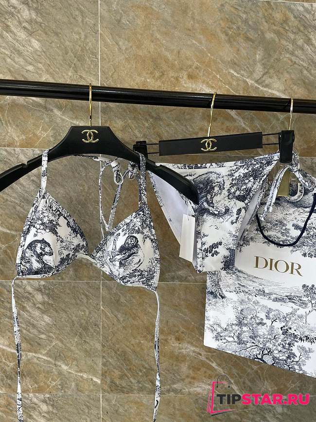 Dior Bikini 16 - 1