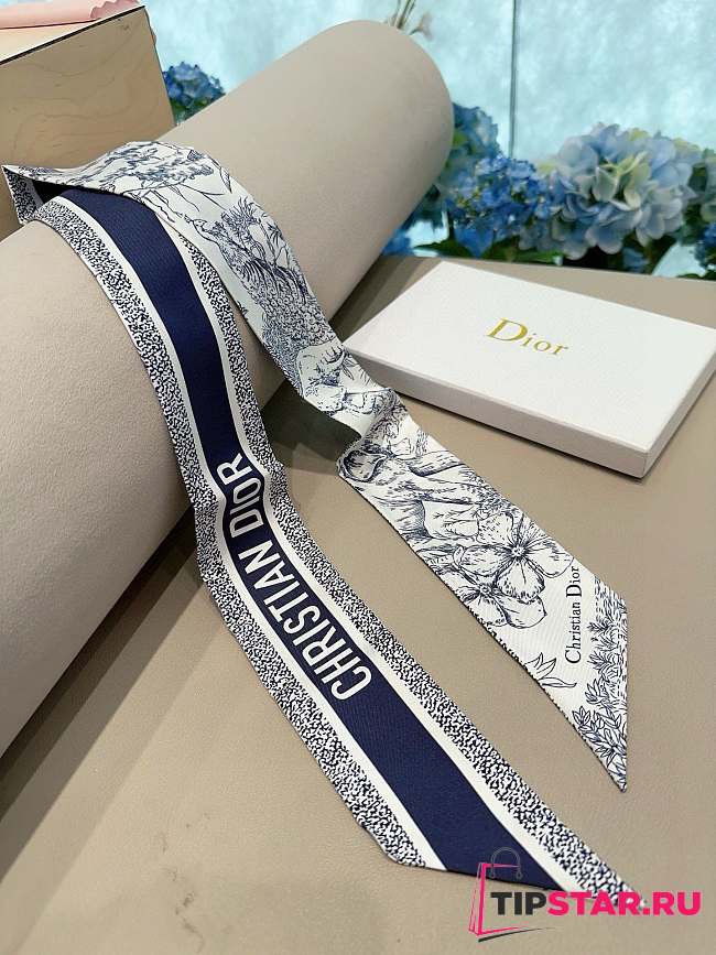 Dior Toile de Jouy Voyage Mitzah Scarf Blue - 1