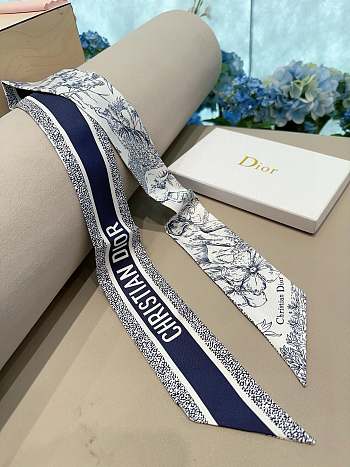 Dior Toile de Jouy Voyage Mitzah Scarf Blue