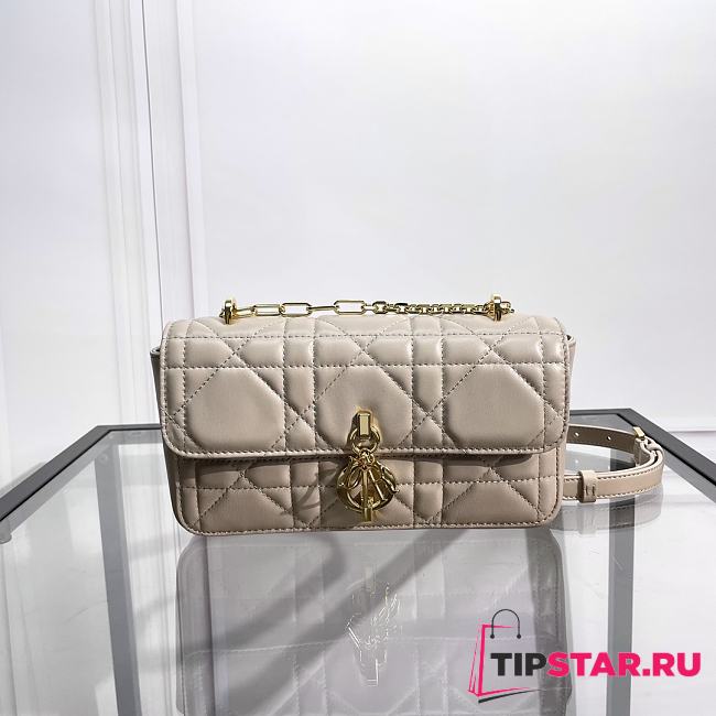 Dior Miss Daisy Mini Bag Trend Beige Macrocannage Lambskin 22x12.5x4cm - 1