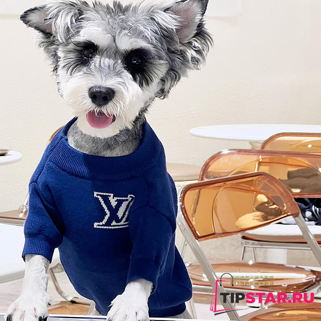 LV Pet Sweater Blue 21191 - 1