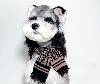 Fendi Pet Scarf 21194