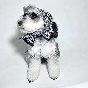 Dior Pet Scarf 21195 - 3