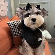 The Dog Face Pet Jacket 21204 - 1