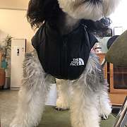 The Dog Face Pet Jacket 21204 - 4