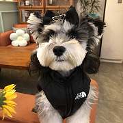 The Dog Face Pet Jacket 21204 - 3