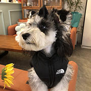 The Dog Face Pet Jacket 21204 - 5