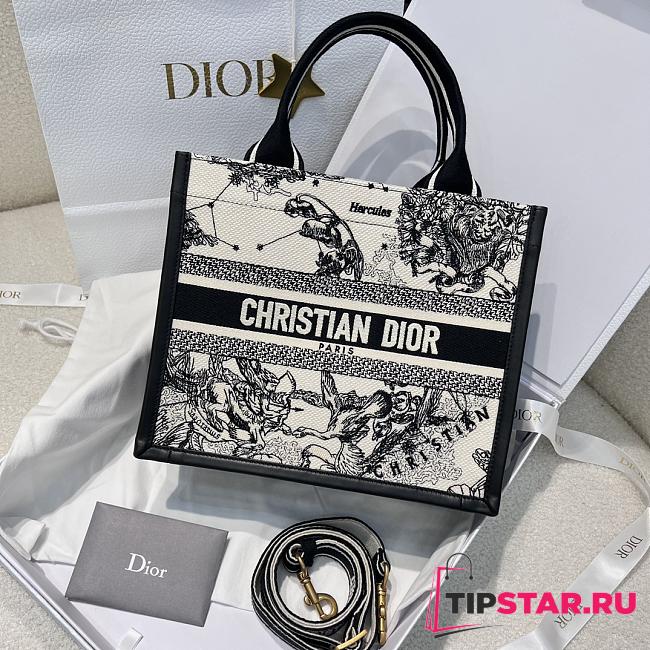 Small Dior Book Tote Latte Multicolor Dior Zodiac Embroidery and Black Calfskin 26.5x22x14cm - 1