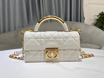 Mini Dior Ange Bag Latte Macrocannage Calfskin 20x12x5cm