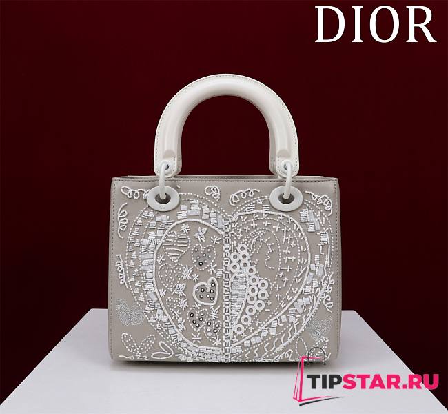 Dior Lady Art 17x20x8cm - 1