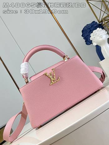 LV M48865 Sakura Pink Lava Model Small 30X19X9cm