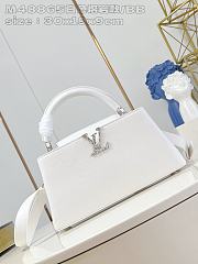 LV M48865 White Lava Model/Small 30X19X9cm - 1