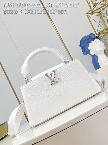 LV M48865 White Lava Model/Small 30X19X9cm