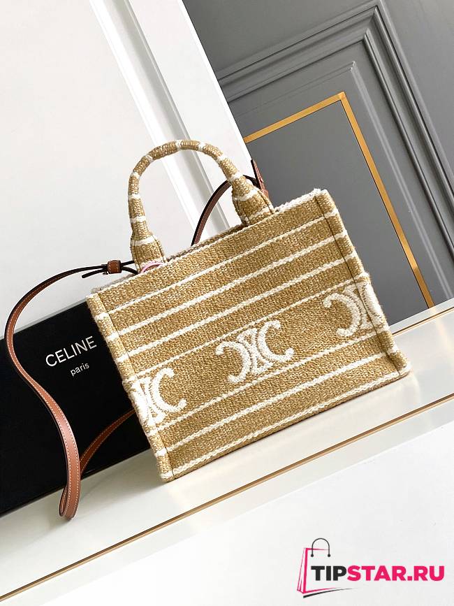 Celine Striped Fabric Cowhide Leather Tote Cacbs 25.5x20x13 cm - 1