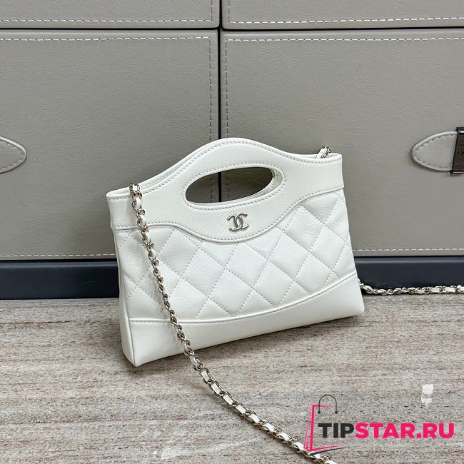 Chanel mini horizontal nano white 17.5x20.5x3.5cm - 1