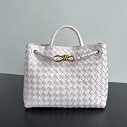 Bottega Veneta Andiamo handbags 25x22x10.5cm  - 1