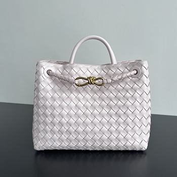 Bottega Veneta Andiamo handbags 25x22x10.5cm 