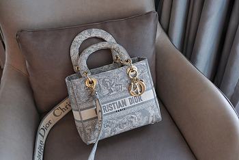 Dior Lady D-lite Bag Grey Toile de Jouy Reverse Embroidery 24 x 20 x 11 cm