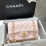 Chanel Original Lambskin-Light Pink Gold Button 20cm - 4