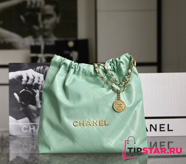 Chanel Calf Light Green Medium 42x39x8cm  - 1