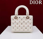 Lady Dior Dragonfly Studs White 20X16X8cm - 2