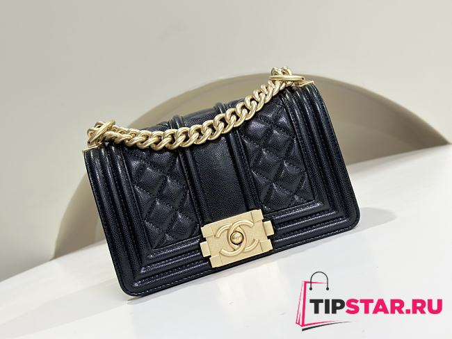 Chanel Leboy Grain Calfskin Classic Black Bag 20cm - 1