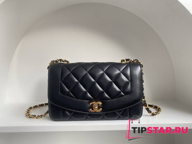 Chanel Vintage Princess Diana Black Bag 22.5x14x7cm - 1