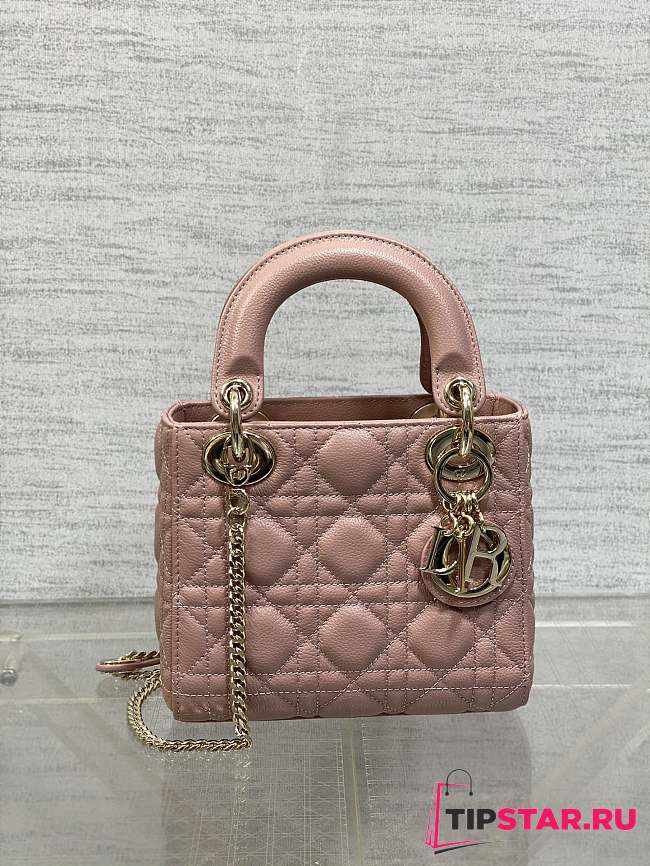 Dior Classic Lady Diana Ball Pattern Retro Pink Gold Button 17cm - 1