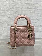 Dior Classic Lady Diana Ball Pattern Retro Pink Gold Button 17cm - 1