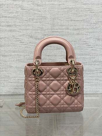 Dior Classic Lady Diana Ball Pattern Retro Pink Gold Button 17cm